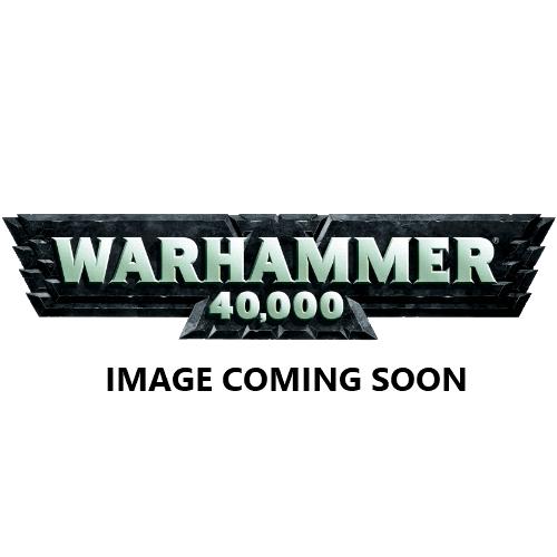 Games Workshop (Direct) Warhammer 40,000  40k Direct Orders Grey Knights Brother Captain Stern - 99800107001 - 5011921023370