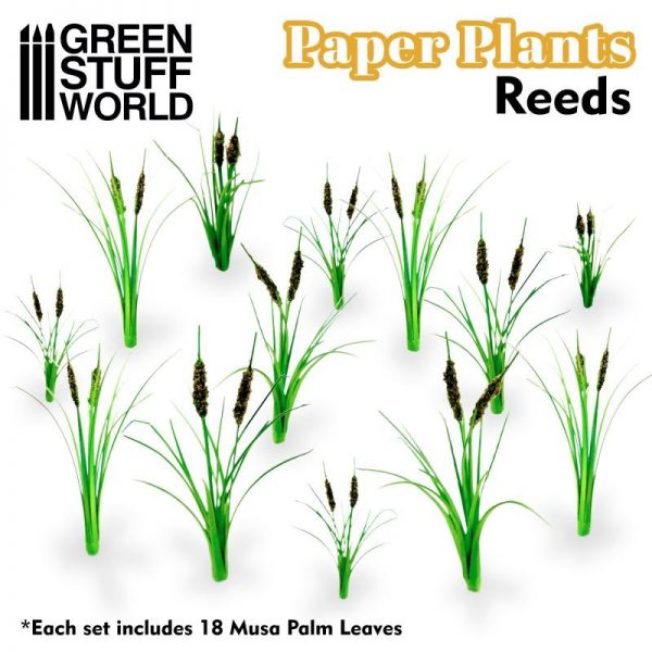 Green Stuff World   Plants & Flowers Paper Plants - Reeds - 8436574508741ES - 8436574508741