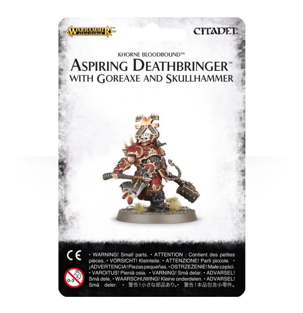 Aspiring Deathbringer with Goreaxe and Skullhammer 1