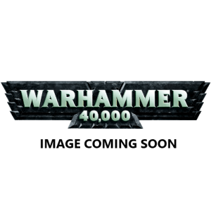 Space Wolves Njal Stormcaller in Terminator Armour 1