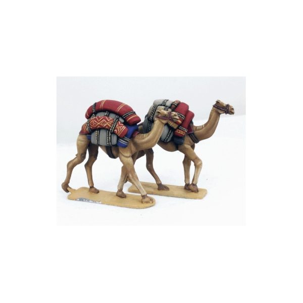 Baggage Camels 1