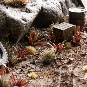 Laser Plants - Red Aloe 1