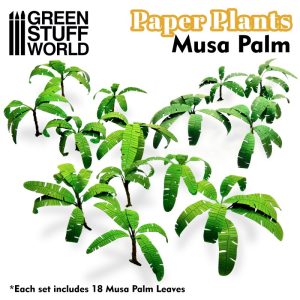 Paper Plants - Musa Palm 1