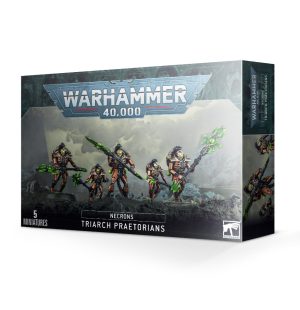 Necron Triarch Praetorians / Lychguard 1