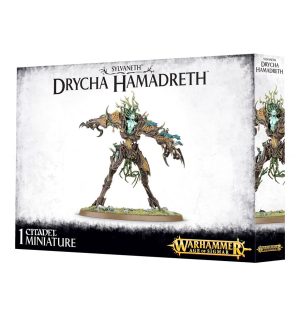 Drycha Hamadreth 1