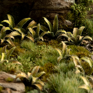 Laser Plants - Deer Fern 1