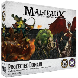 Protected Domain 1