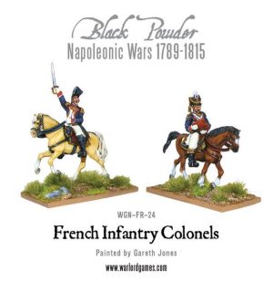 Mounted French Colonels 1