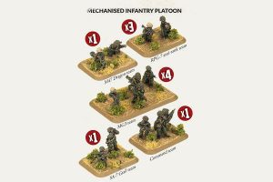 Mechanised Infantry Platoon 1